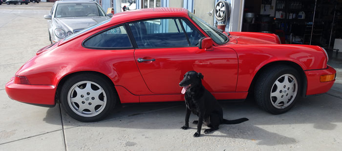 Image of a black lab sitting in front of a red Porsche.